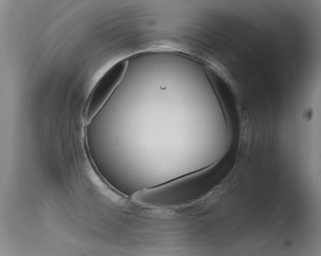 X0000115541476200911061139