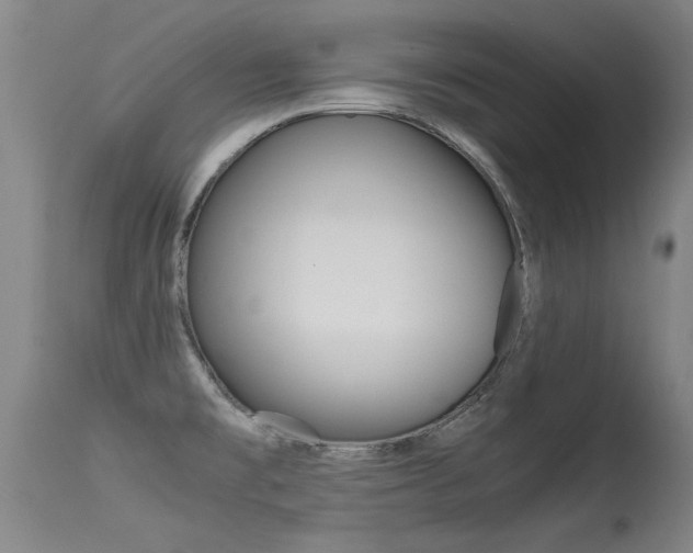 X0000115541477200911061139