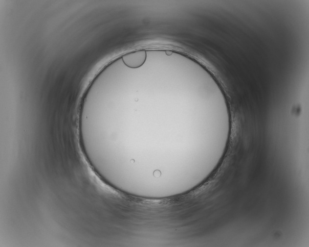 X0000115541478200911061139