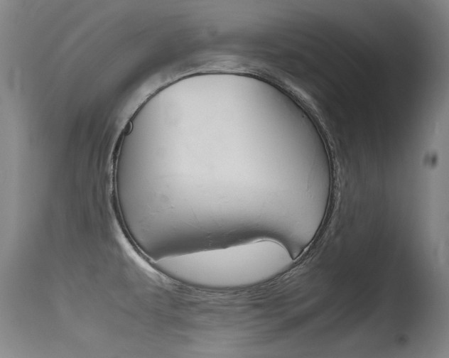X0000115541479200911061139