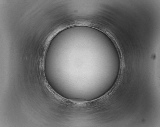 X0000115541481200911061139