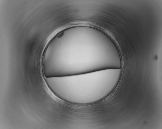 X0000115541482200911061139