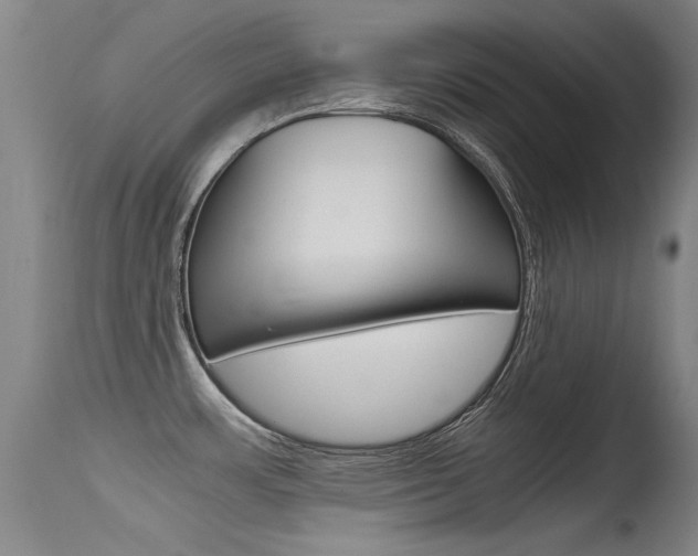 X0000115541483200911061139