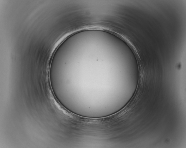 X0000115541484200911061139