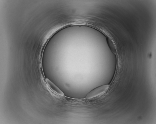 X0000115541485200911061139