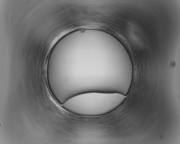 X0000115541487200911061139