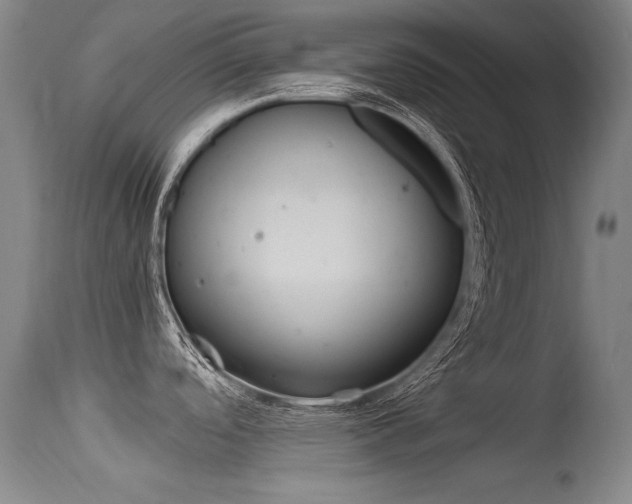 X0000115541488200911061139