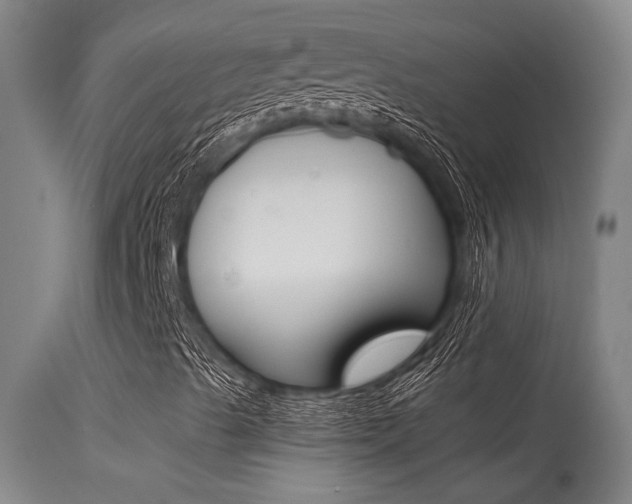 X0000115541489200911061138