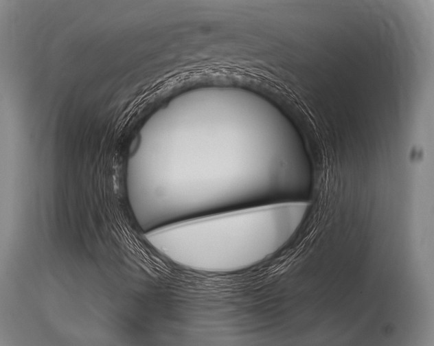 X0000115541490200911061138