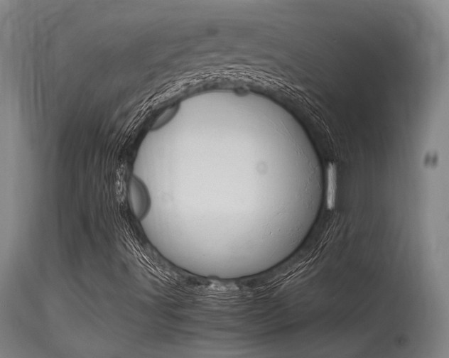 X0000115541491200911061138