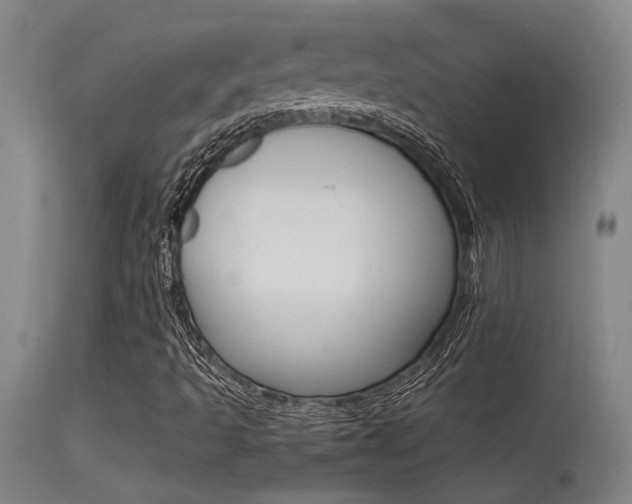 X0000115541493200911061138