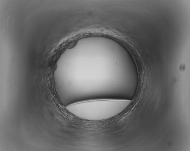 X0000115541494200911061138