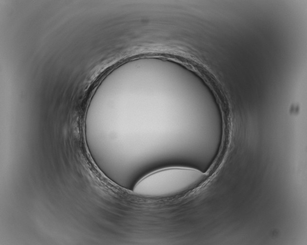 X0000115541497200911061138
