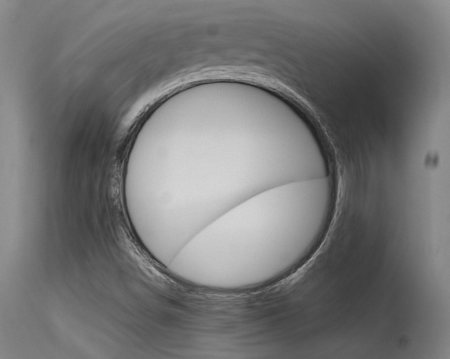 X0000115541498200911061138