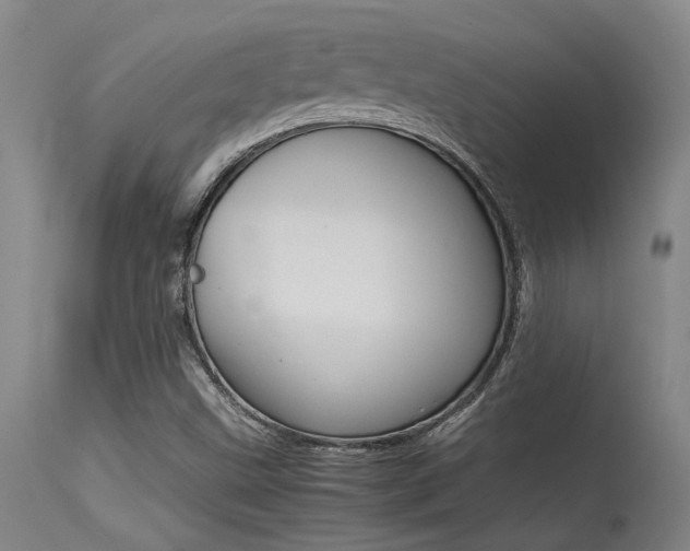 X0000115541499200911061138