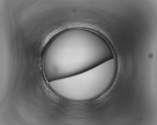 X0000115541501200911061138