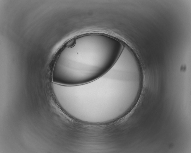X0000115541502200911061138