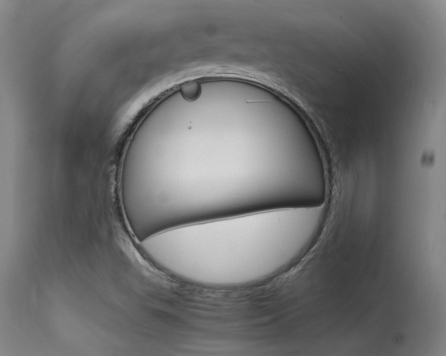 X0000115541503200911061138