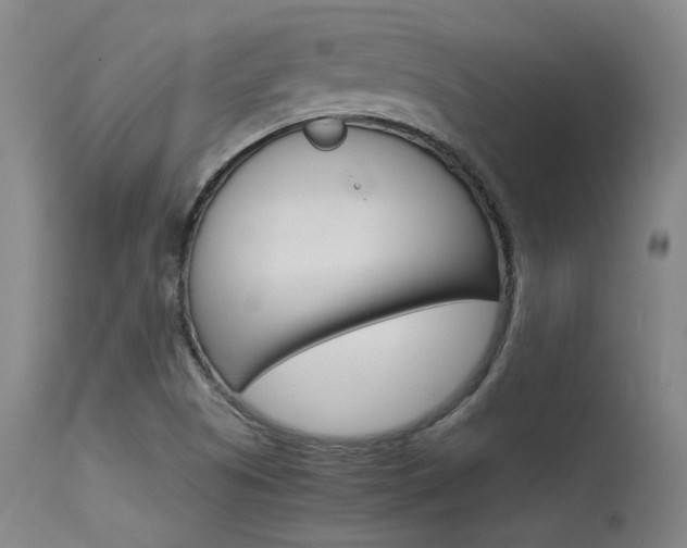 X0000115541505200911061139