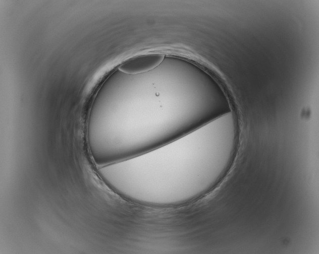X0000115541506200911061139