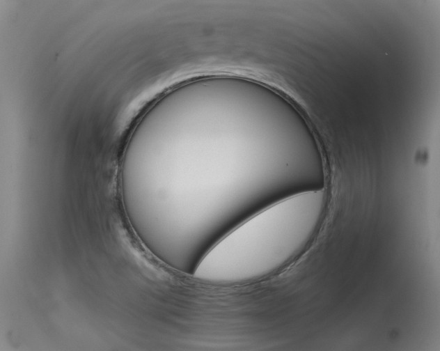X0000115541507200911061139