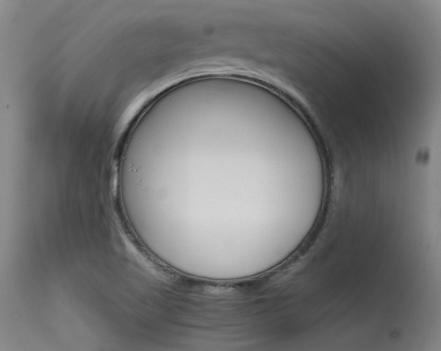 X0000115541509200911061139