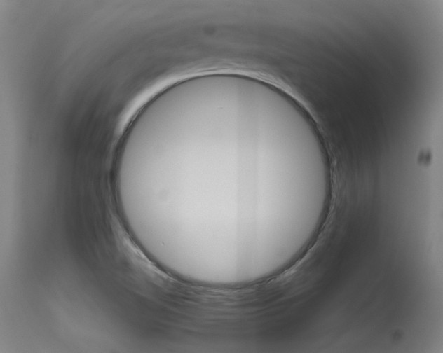 X0000115541510200911061139