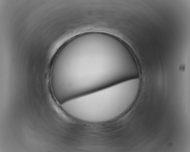 X0000115541511200911061139