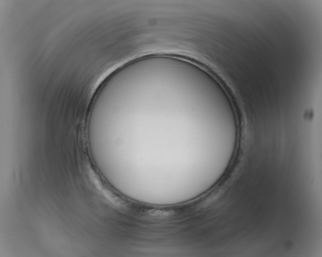 X0000115541513200911061139