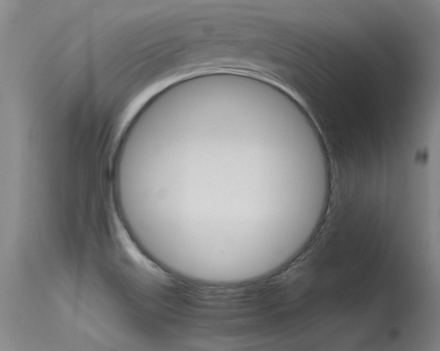 X0000115541515200911061139