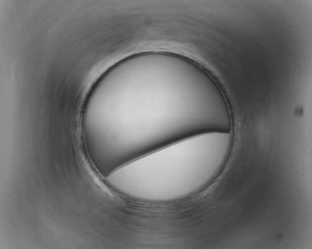 X0000115541517200911061139