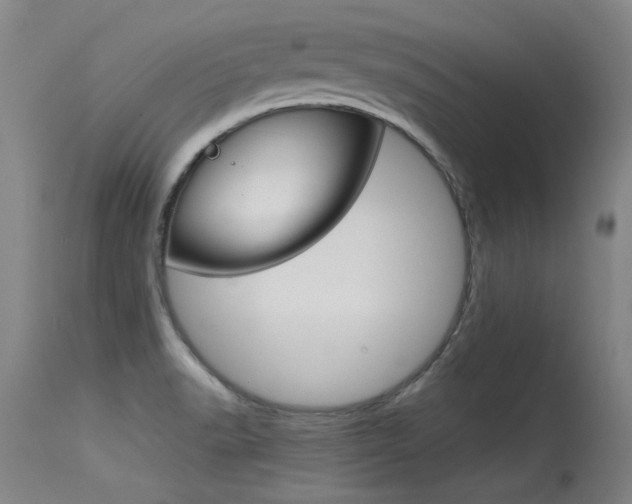 X0000115541518200911061139