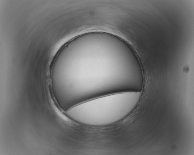 X0000115541519200911061139