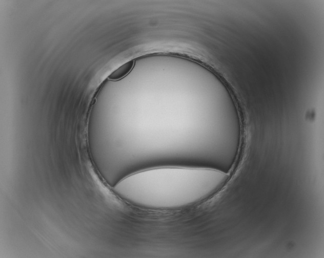 X0000115541521200911061139