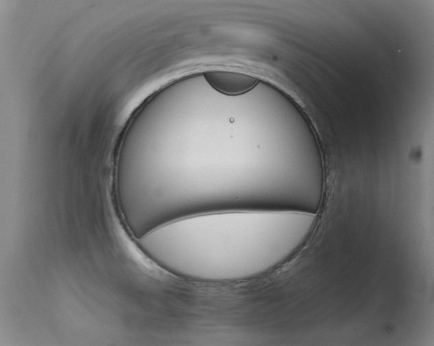 X0000115541523200911061139