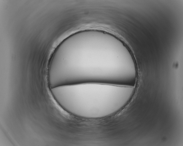 X0000115541525200911061139