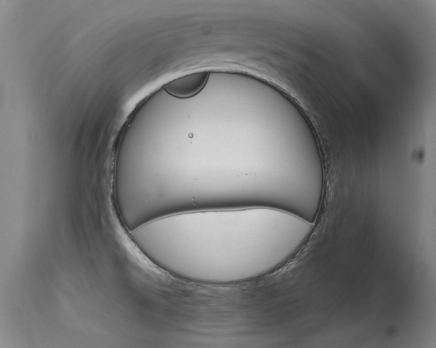 X0000115541526200911061139