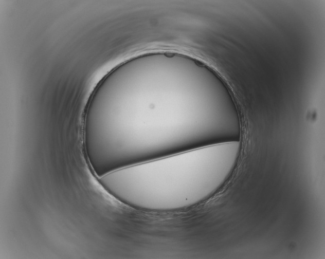 X0000115541527200911061139