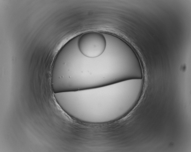 X0000115541529200911061139