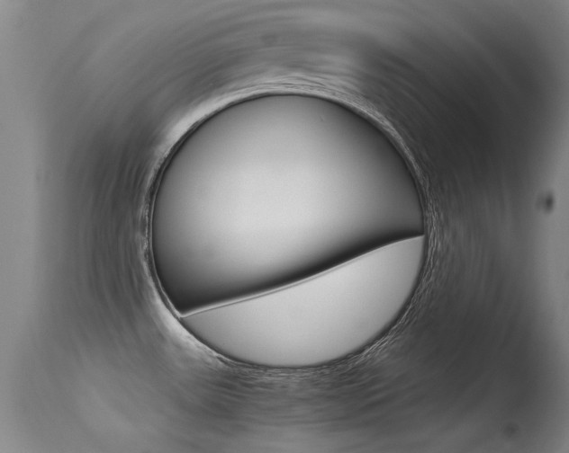 X0000115541531200911061139