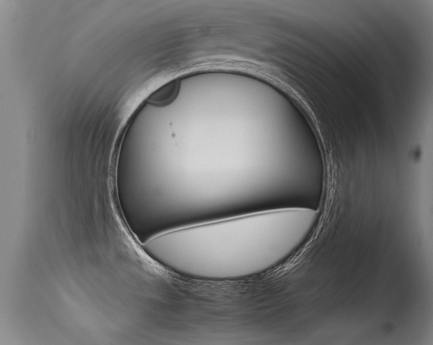 X0000115541533200911061139