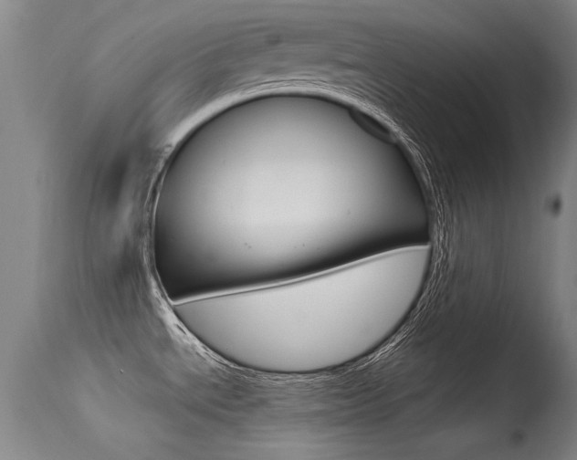 X0000115541534200911061139