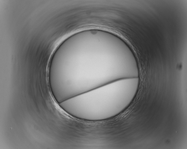 X0000115541535200911061139
