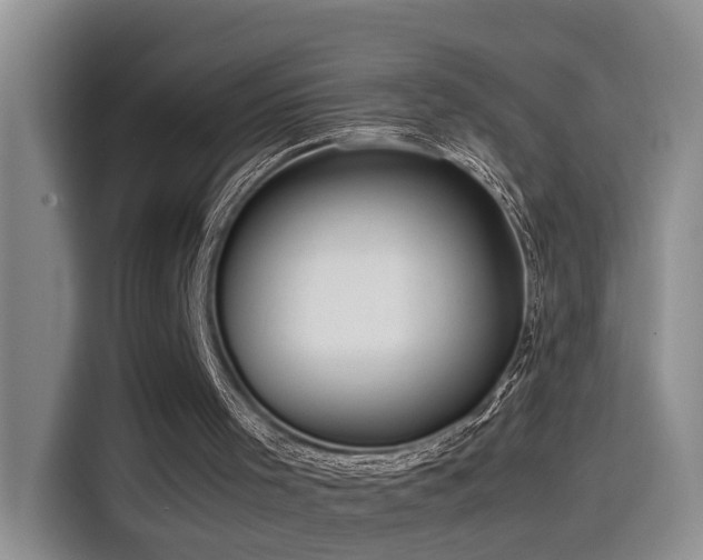 X0000115540001200911061509