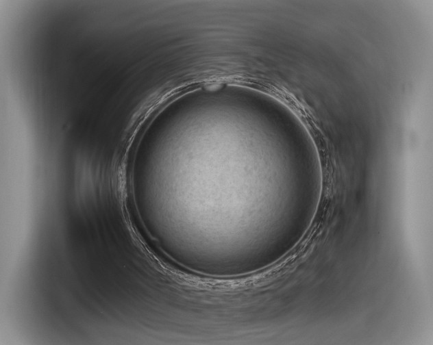 X0000115540002200911061509