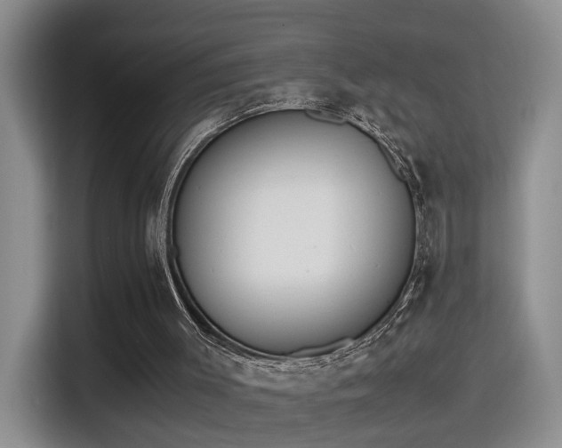 X0000115540003200911061509