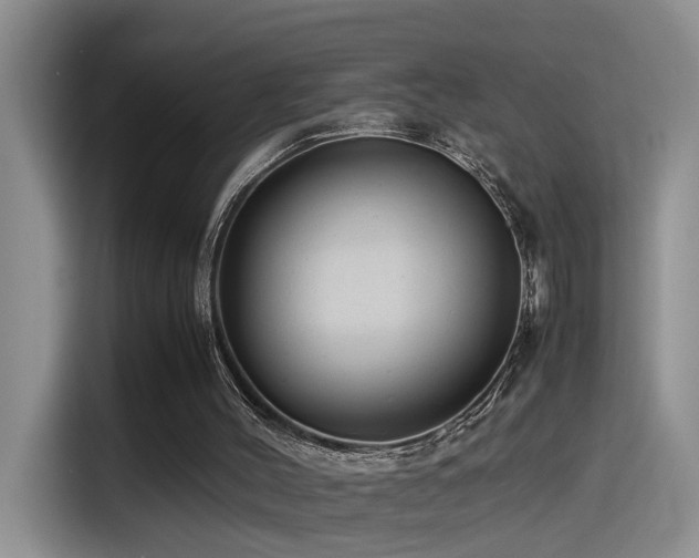 X0000115540004200911061509