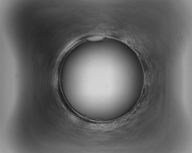 X0000115540005200911061509