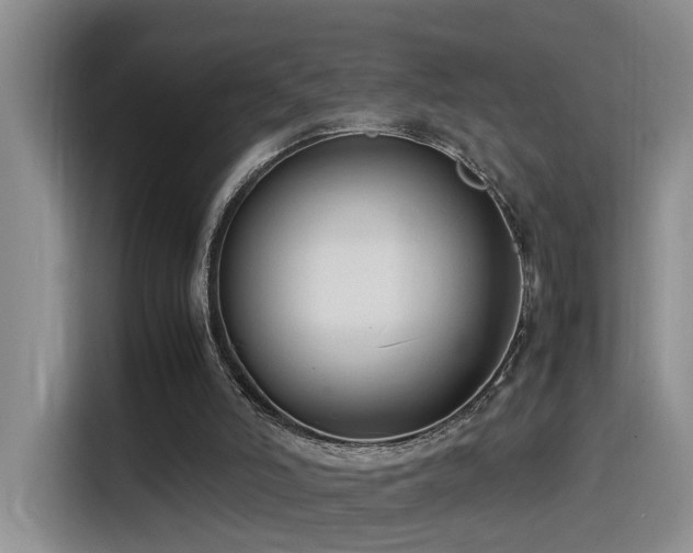 X0000115540006200911061509