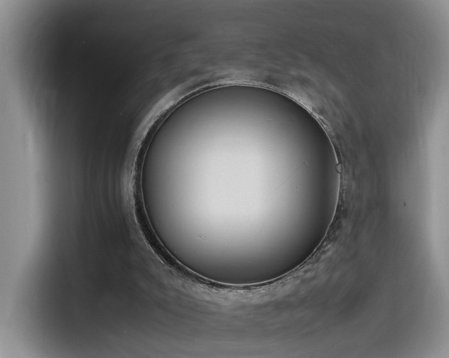 X0000115540007200911061509